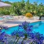 Luxury Getaway - Modern With Pool And Ac *